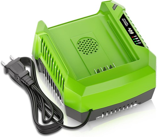 60v fast charger for - 60v,
